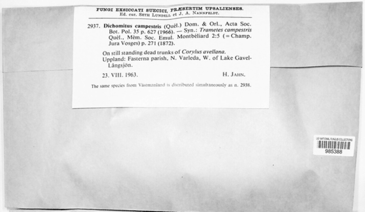 Szczepkamyces campestris image
